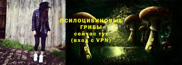 дмт Абинск