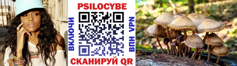 Псилоцибиновые грибы Psilocybe  Чегем 