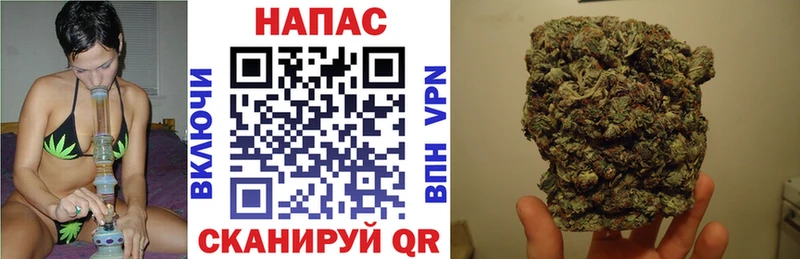 МЕГА маркетплейс купить наркотик Чегем Бошки Шишки план